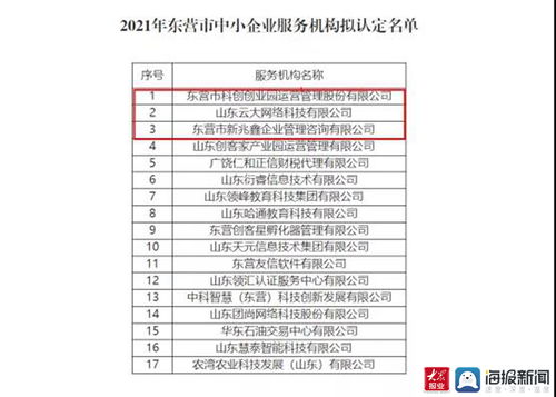 東營(yíng)高新區(qū)再添新翼 三家市級(jí)中小企業(yè)服務(wù)機(jī)構(gòu)獲認(rèn)定，聚焦計(jì)算機(jī)軟硬件開(kāi)發(fā)與銷售