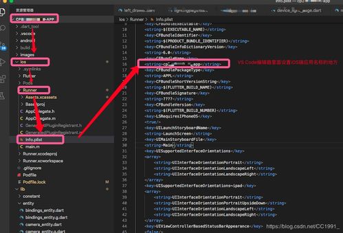 Flutter開(kāi)發(fā)中設(shè)置iOS應(yīng)用名稱與圖標(biāo) 從配置到發(fā)布的完整指南